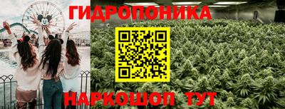 молекула духа Донской