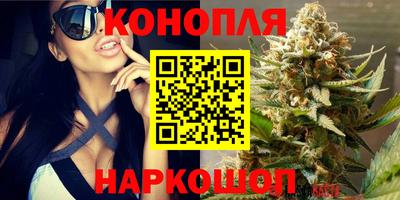ешки Дубна