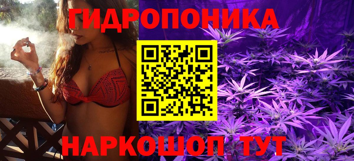 Конопля планчик Новоалександровск